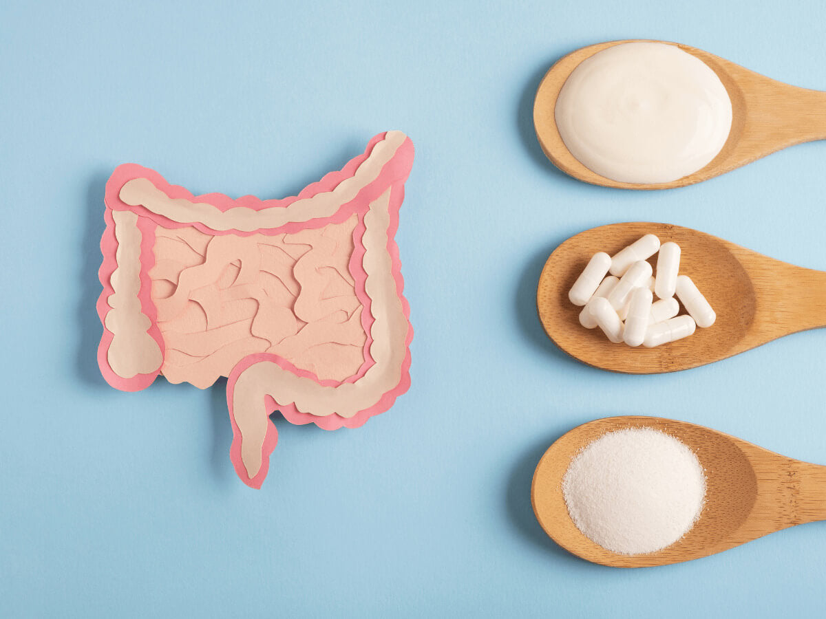 A importância dos probióticos na imunidade