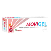 Tecnilor Movigel Gel Alívio Muscular E Articular 125G