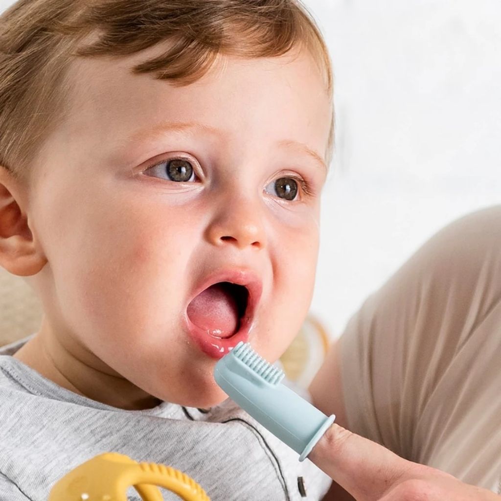 Nattou Escova De Dentes Bebé Com Caixa 6M+ Azul 2 Unidades